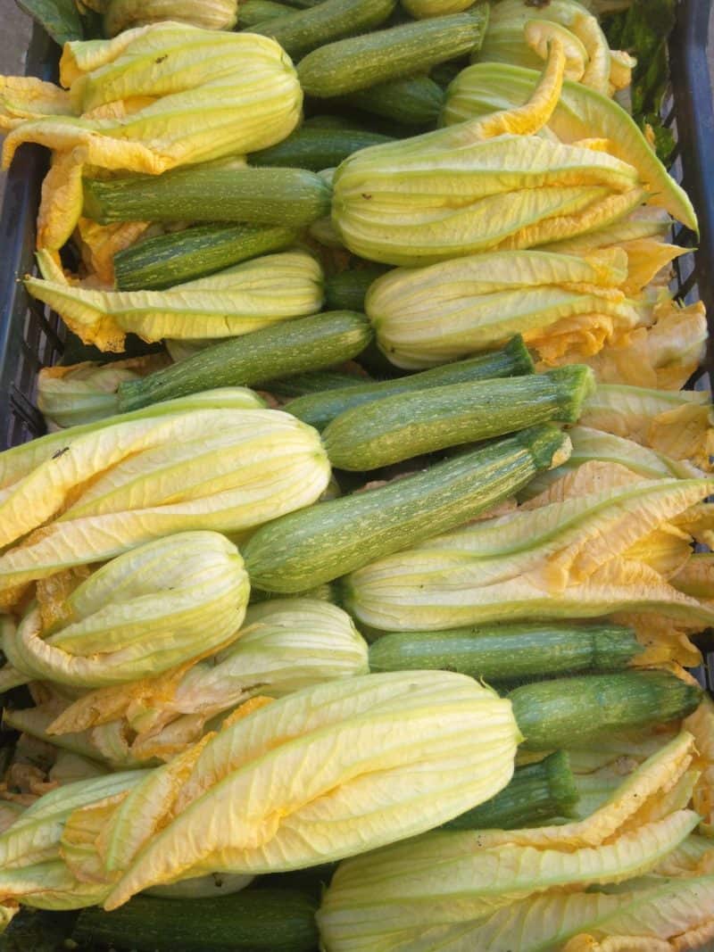 Zucchine chiare con fiore